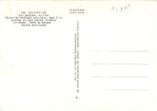 CPM Belfort (Terr de Belfort) Vue generale le Lion L'Oeuvre de Barthldi