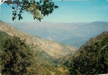 CPM Bezudun Les Alpes (A M) alt 840 m Panorama sur les Alpes