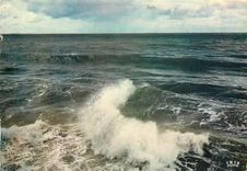 CPM Cote Atalndtique Effet de Vagues