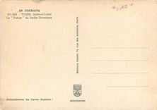 CPM Tours (I et L) en Touraine Le Panier du Jardin Botanique