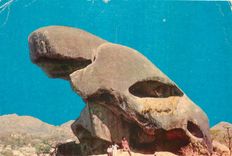 CPM India Mount Abu Toad Rock 