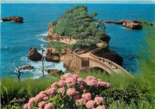 CPM Biarritz BP Le Rocher du Basta 