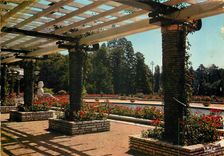 CPM Lyon La Rosearie Rosiers Des millions de Fleurs 