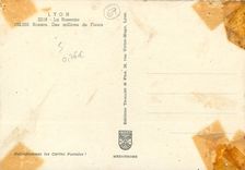 CPM Lyon La Rosearie Rosiers Des millions de Fleurs 