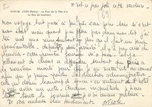 CPM Lyon Rhone Le Parc de la Tete d'or Le Bois de bouleaux 