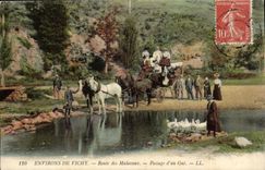 Surroundings of Vichy--Road of Malavaux- Passage of a Ford-Horse-Duck-CPA Diligence TOP