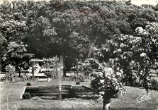 CPM Nancy Le Parc de la Pepiniere 