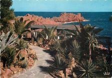 CPM La Corniche d'Or Var Paysage Mediterraneen 