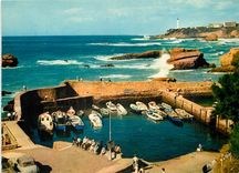 CPM Les Pyrenees Biarritz Basses Pyrenees Le Port des Pecheurs 