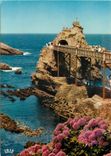 CPM Biarritz Le Rocher de la Vierge 