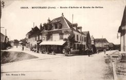 Informer (the Jura) - Road of Alpine laburnum and Road the Saline ones - CPA