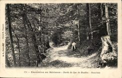Excursion with the Hedgehog Edges of the Lake Bonlieu-Under-wood - CPA