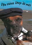 CPM Un vieux loup de mer Chien Tabac