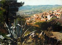 CPM La Cote d'Azur miracle de la nature Bormes les Mimosas (Var) 