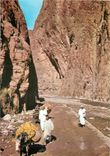 CPM Le Maroc Pittoresque Tinerhir Gorges du Todra