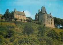 CPM Sainte Suzanne (Mayenne) Le chateau et le Manoir
