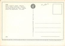 CPM Roma Pont et chateau Saint Ange Nocturne