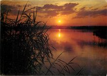 CPM Coucher de soleil sur les Etangs