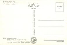 CPM Le Musee Egyptien le Care