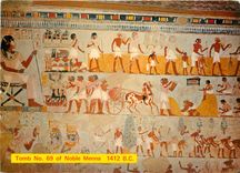 CPM Scenes d'agriculture