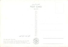 CPM Le roi et la reine sur couverte de Coffrent d'ivoire