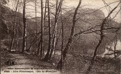 Jura-tourist Bonlieu-Edges of the Lake - CPA