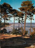 CPM Bassin d'Arcachon Gironde Echappee sur le Bassin 
