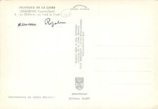 CPM Chateaux de la Loire Chambord Loir et Cher Le Chateau au fond la Foret 