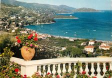 CPM Environs du Lavandou Saint Clair Var Vue generale Au fond Pointe de la Fossette et Cap Negre 