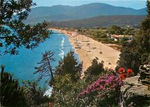 CPM Paysage typique en bord de Mediterranee Croix Valmer Var La plage de la Croix 