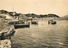 CPM Ciens Var Port de la Madrague 