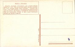 CPA Moll Alsacien ne a Saulx armee colonaile Ouadai