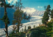 CPM Valais Aletsch Glacier 