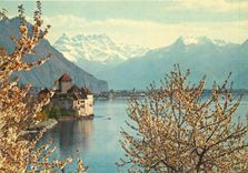 CPM Chateau de Chillon et les Dents du Midi 