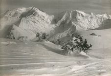 CPM Saint Gervais les Bains Hte Savoie Du Mont d'Arbois vue sur l'Aiguille 