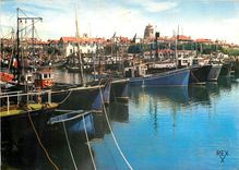 CPM St Jean de Luz Le Port 