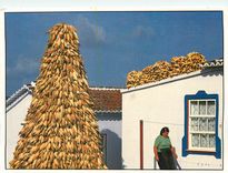CPM Acores Portugal Terceira Cas Tradicional E Burra de Milho 