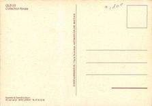 CPM Collection florale 