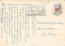 CPM Coucher de soleil a travers les pins 