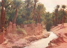 CPM Maroc Typique Sud Marocain 