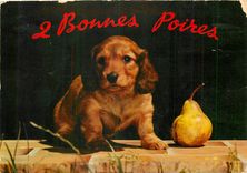 CPM Bonnes Poires 