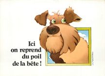 CPM Ici on reprent du poil de la bete Chien