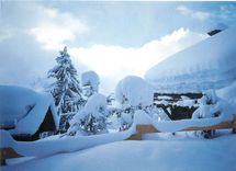 CPM L'hiver recouvre son manteau blanc 