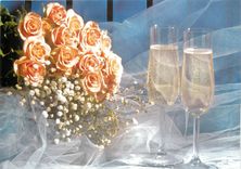 CPM Selectionnez vos vacances Bleues