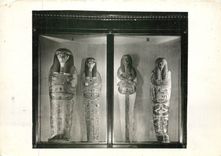 CPM Musee du Louvre Sarcophages