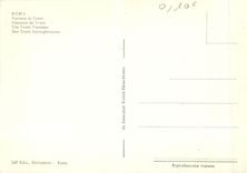 CPM Roma Fontaine de Trevi