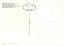 CPM Rheinfall mit Schlos laufen totale Breite 150 m totale hohe 21 m