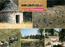 CPM Le Lot Pittoresque