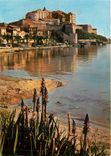 CPM La Corse inoubliable Calvi Le Port et la ville Forte