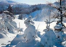 CPM Neige et soleil